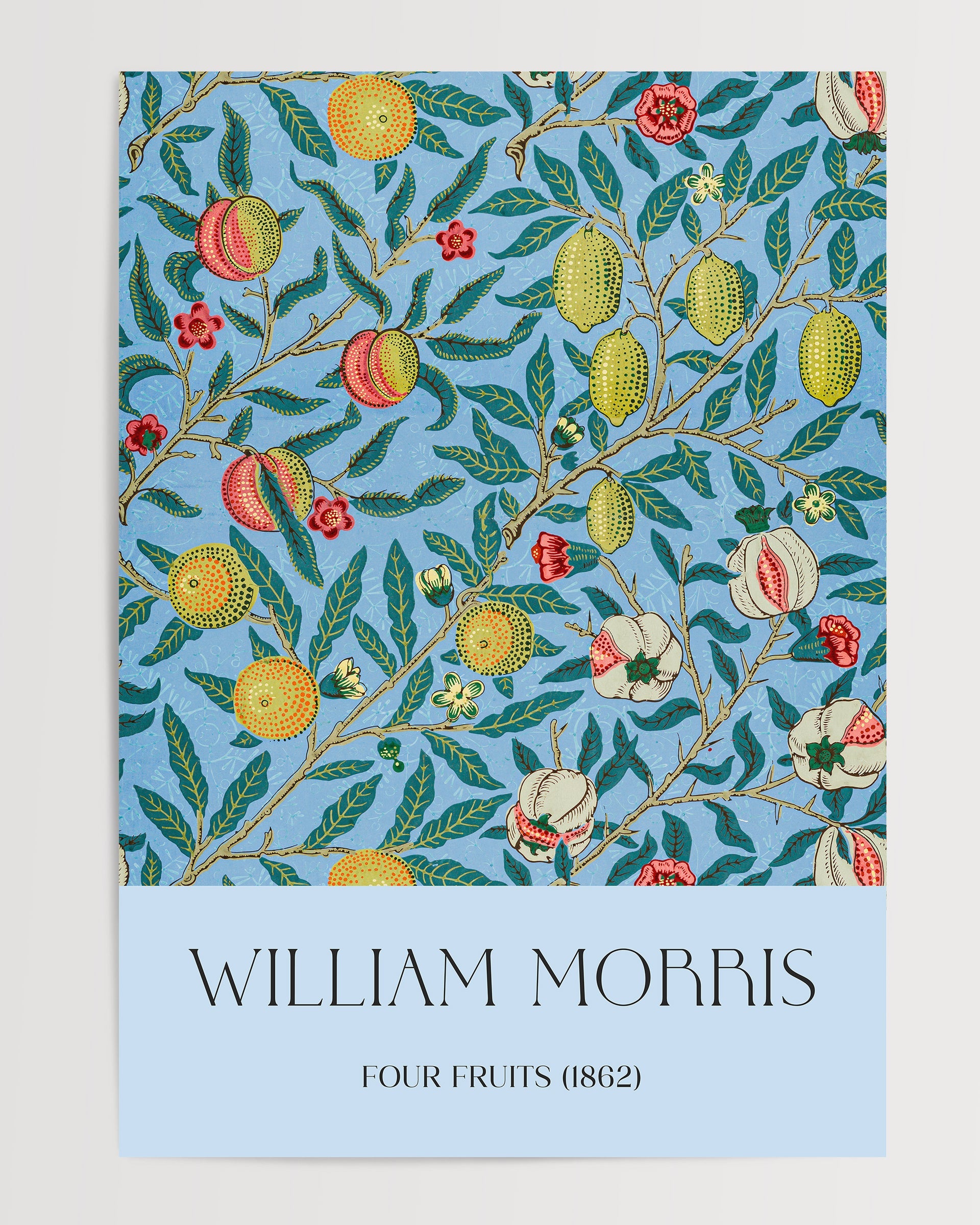 Four Fruits (1862) The Poster Square