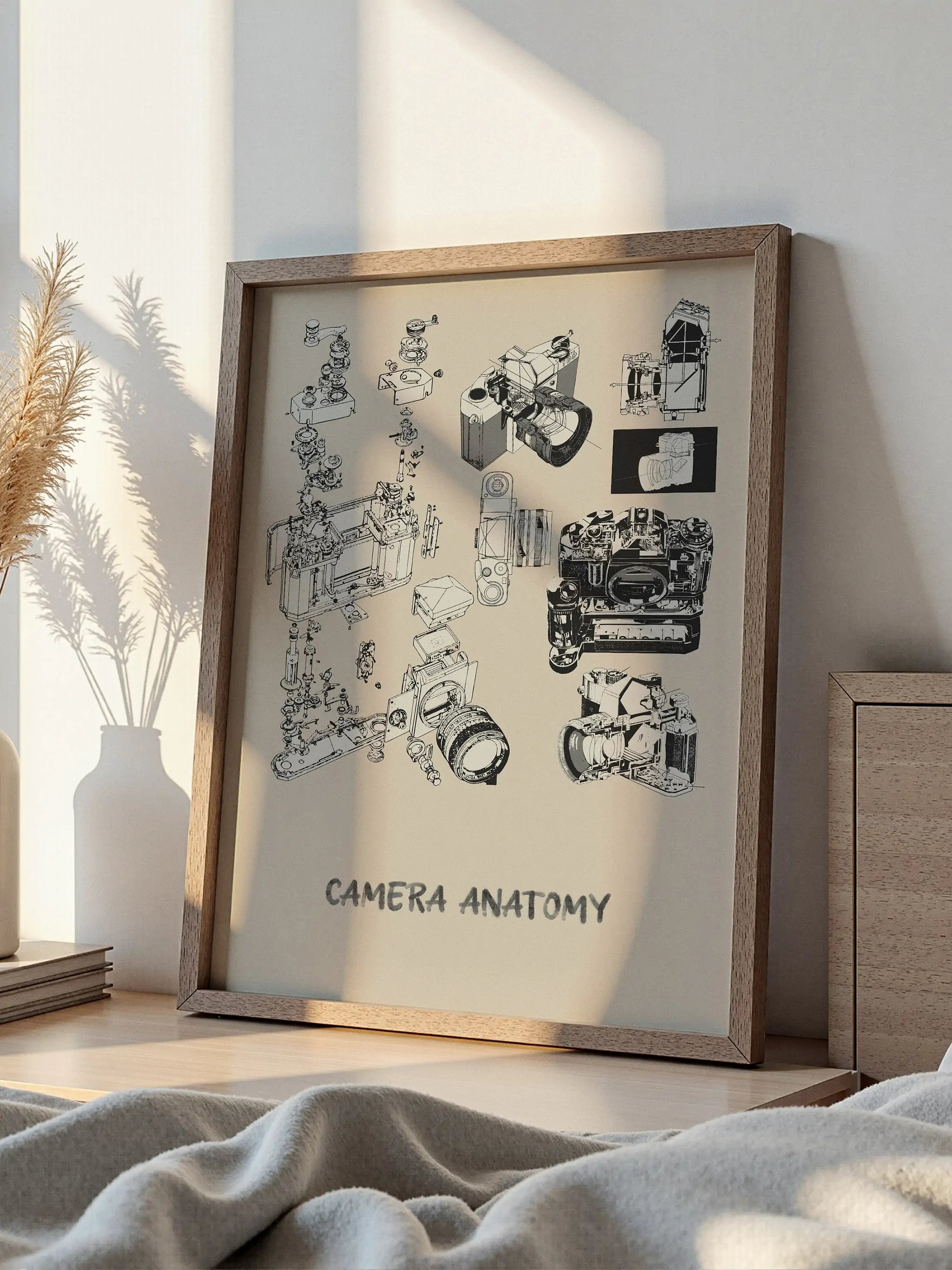 Camera-anatomie